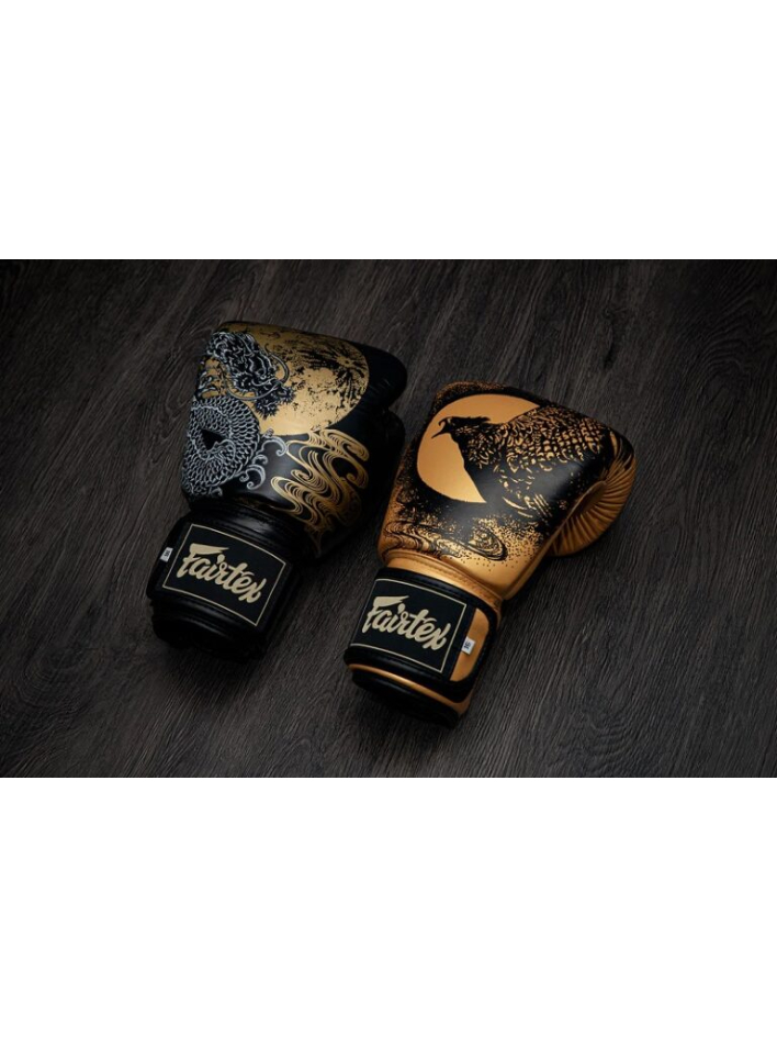 боксёрские перчатки Fairtex BGV26 14 oz