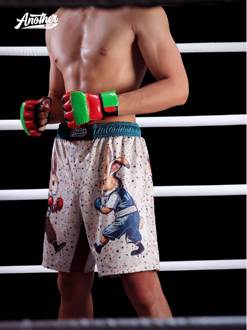 Шорты спортивные Another Boxer с зайцами в перчатках в Новосибирске